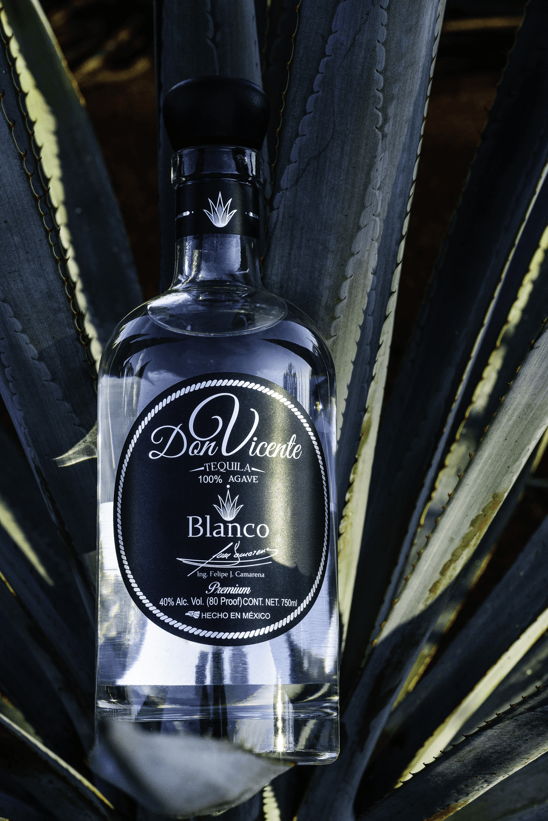DON VICENTE TEQUILA BLANCO