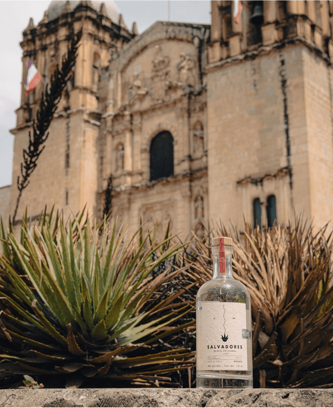 SALVADORES MEZCAL CIRIAL JOVEN