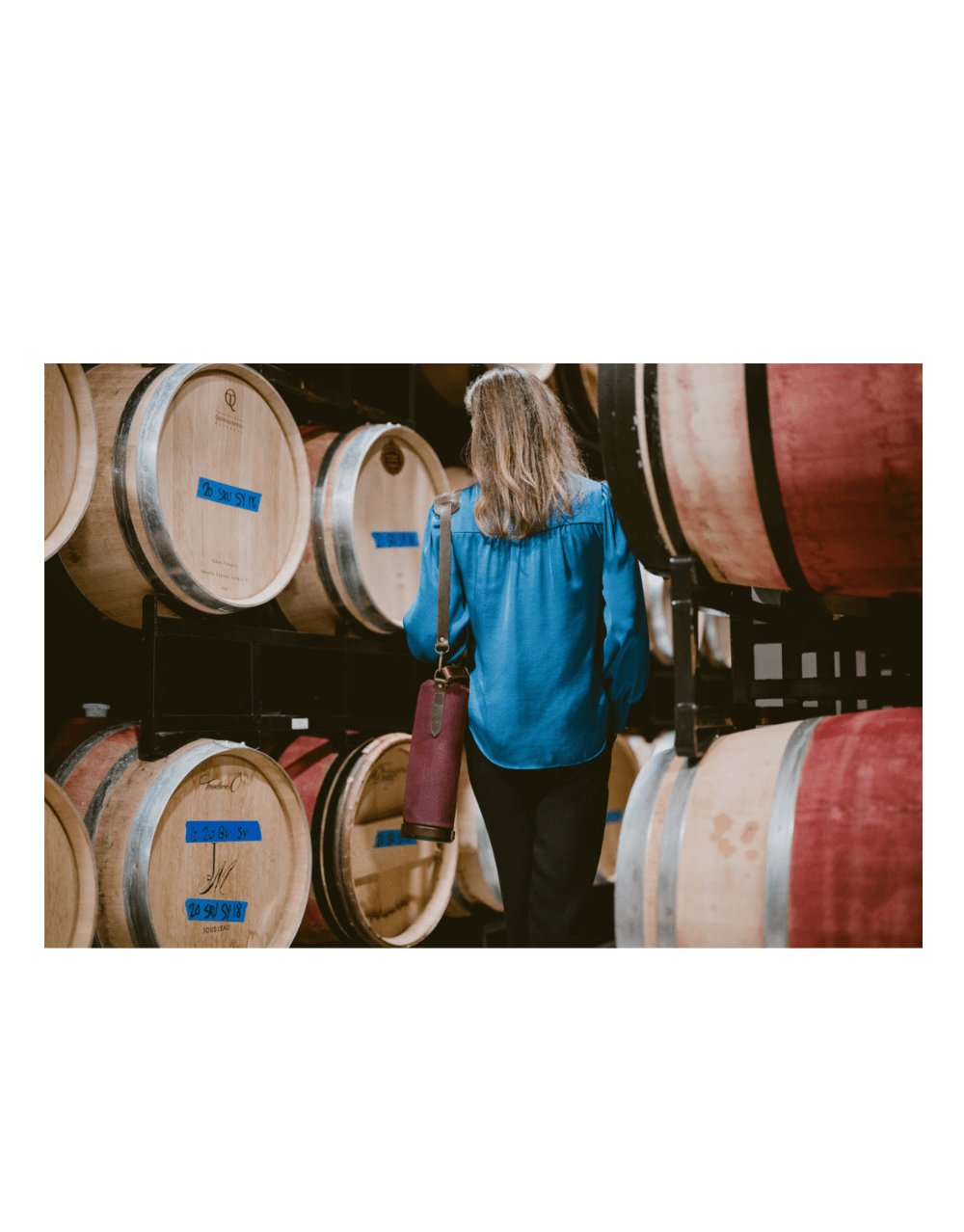 Vinarmour Wine Travel Carrier, Burgundy