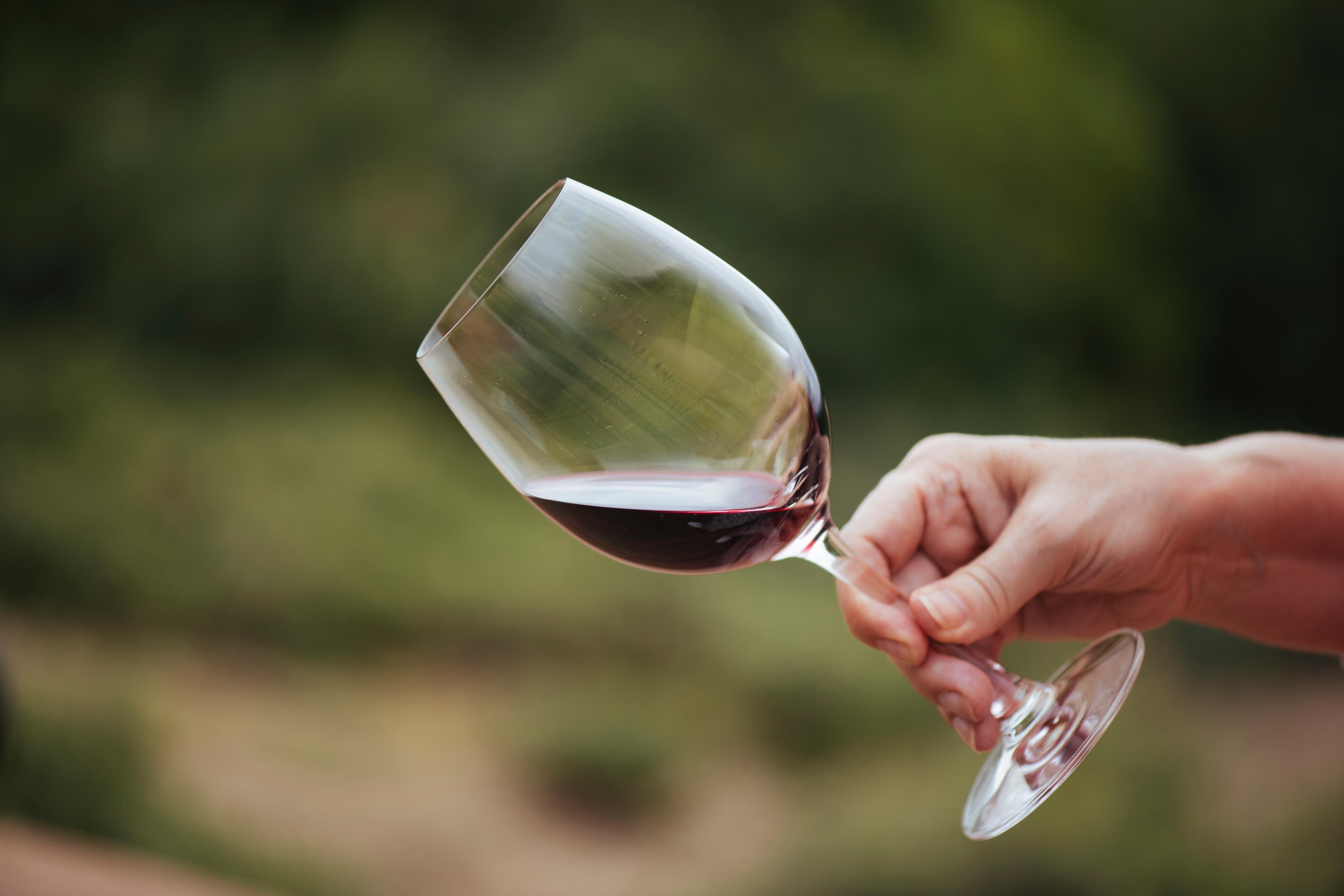 CAMPO VIEJO TEMPRANILLO