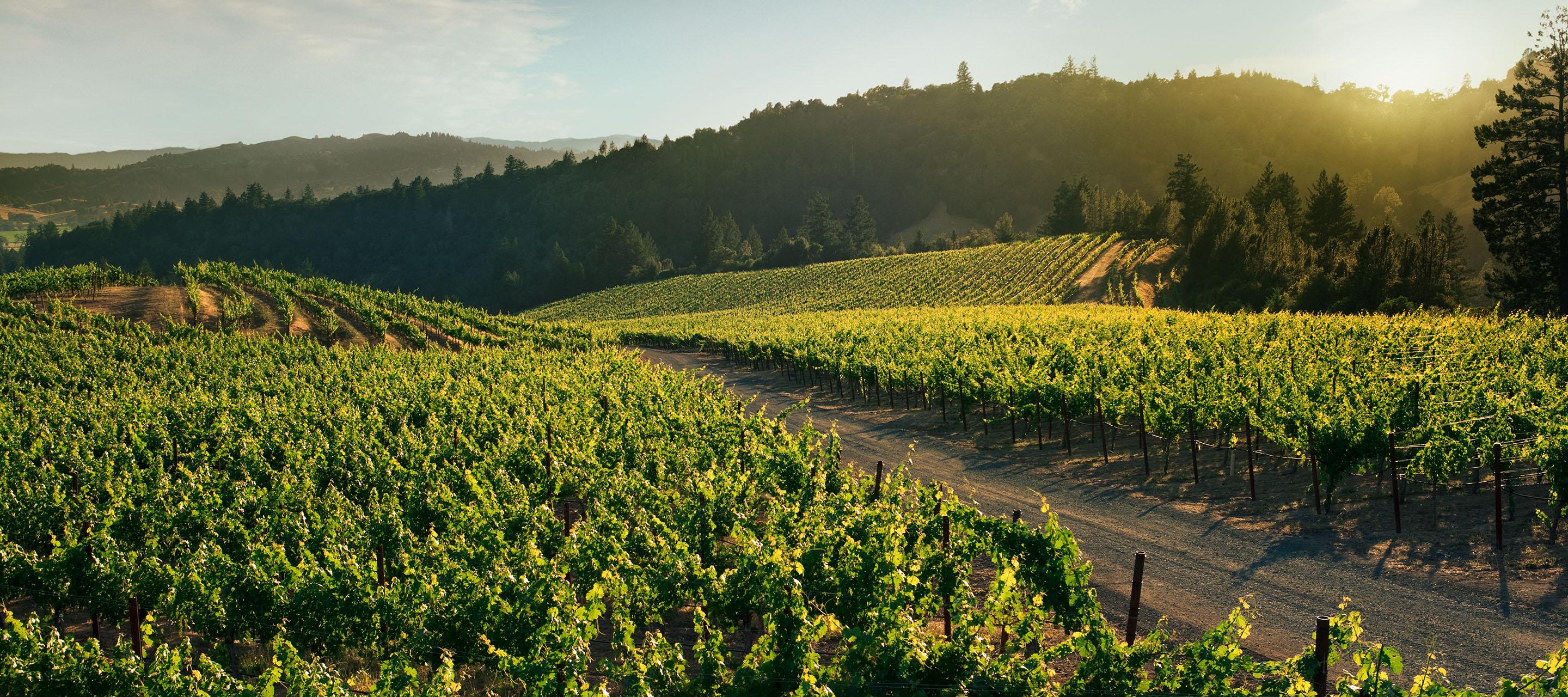 ReserveBar + Bacchus by dVIN Labs