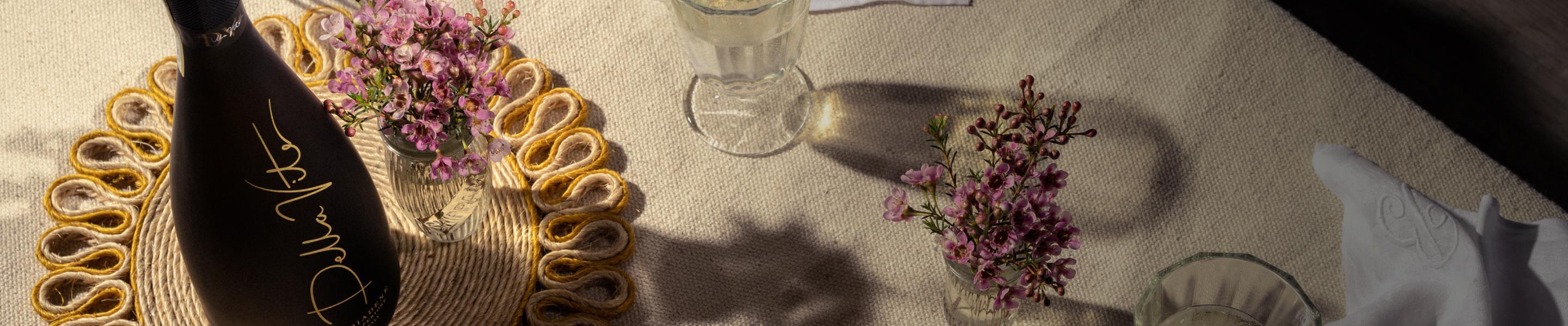 Women-Owned & Led Collection